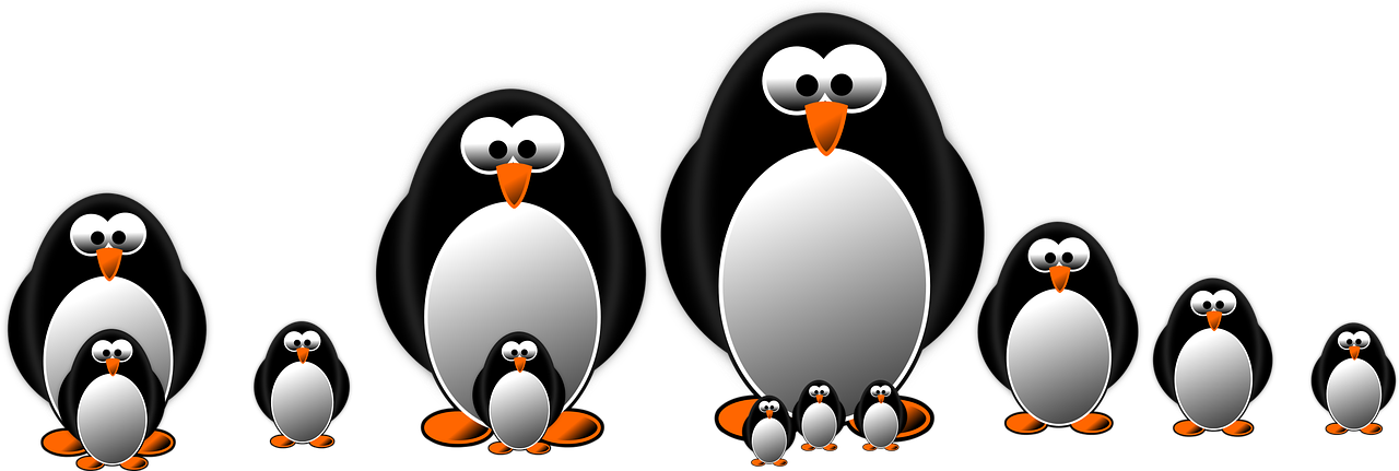 Slider item